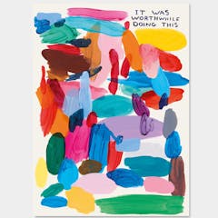 David Shrigley / It was worthwhile doing this